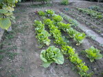 DSCN1052.JPG