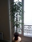 P1010365-R.jpg