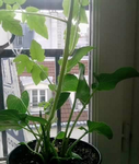 Resize_image_0003.png