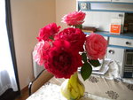 DSCN1010.JPG