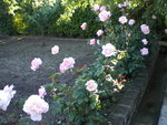 DSCN1016.JPG