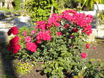 DSCN1018.JPG