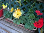 DSCN1021.JPG
