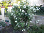 DSCN1023.JPG