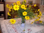 DSCN1055.JPG