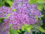 DSCN1047.JPG
