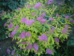 DSCN1046.JPG