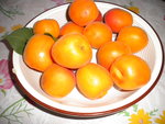 DSCN1042.JPG