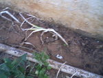 Photos-0003.jpg