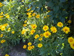 DSCN1039.JPG