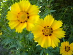 DSCN1038.JPG