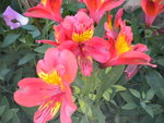 DSCN1040.JPG