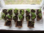 photo 01