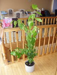 photo 01