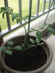DSC02265.JPG