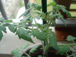 DSC02266.JPG