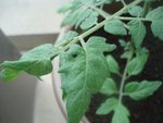 DSC02267.JPG