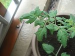 DSC02268.JPG