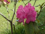 DSC01331.JPG