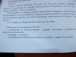 ail5.JPG