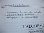ail6.JPG