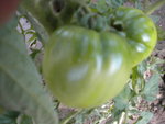DSCN1072.JPG