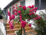 DSCN1058.JPG