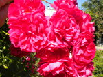 DSCN1045.JPG