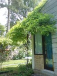 DSC01335.JPG