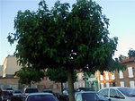 P11-06-10_21.13.jpg