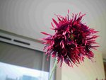 100_0010_resize.jpg