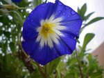 100_0012_resize.jpg