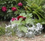 DSCN8227.JPG