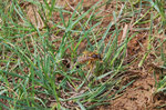 DSC_0655.JPG