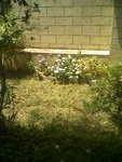 Photos-0003.jpg
