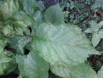 Photos-0002.jpg