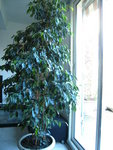 DSCN0661.JPG
