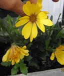 IMG_0654.JPG