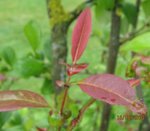 IMG_0722.JPG