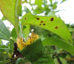 IMG_0724.JPG
