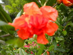 DSCN1062.JPG