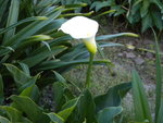 DSCN1024.JPG