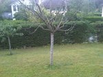 IMG00071-20100614-1951.jpg