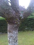 IMG00075-20100614-1952.jpg