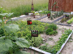 Mon modeste potager, fin mai 2010