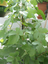 photo020.png