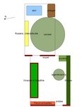 plan jardin actuel