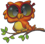 hibou_056.gif
