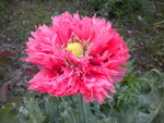 DSCN1081.JPG