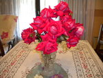 DSCN1087.JPG